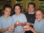 6th class Clay pots