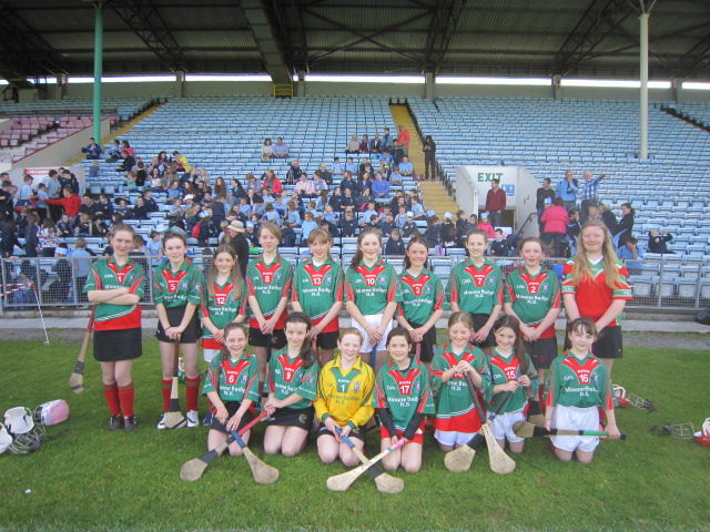 Sciath na Scol Camogie Final