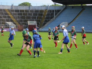 IMG_1117