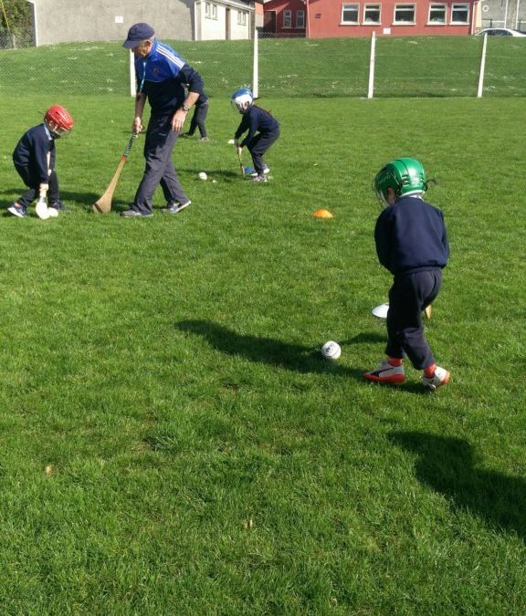 Hurling Training