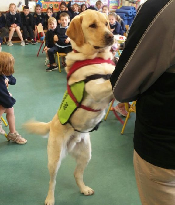 Irish Guide Dog Visit