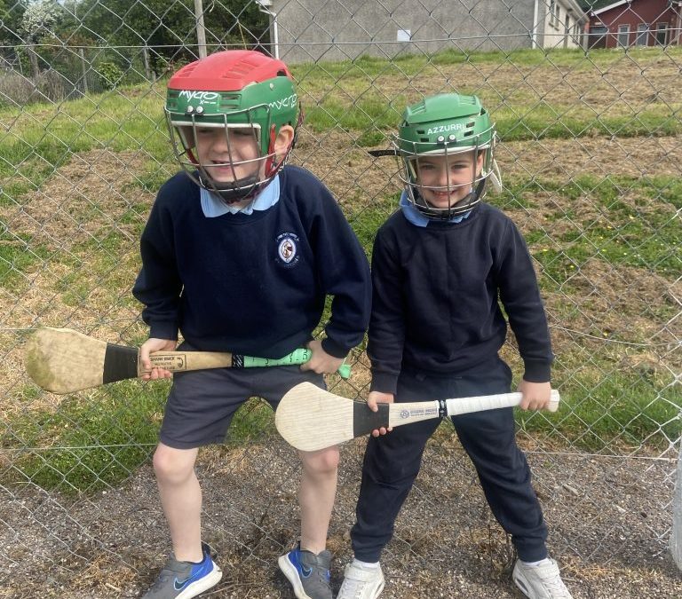 Hurling Training